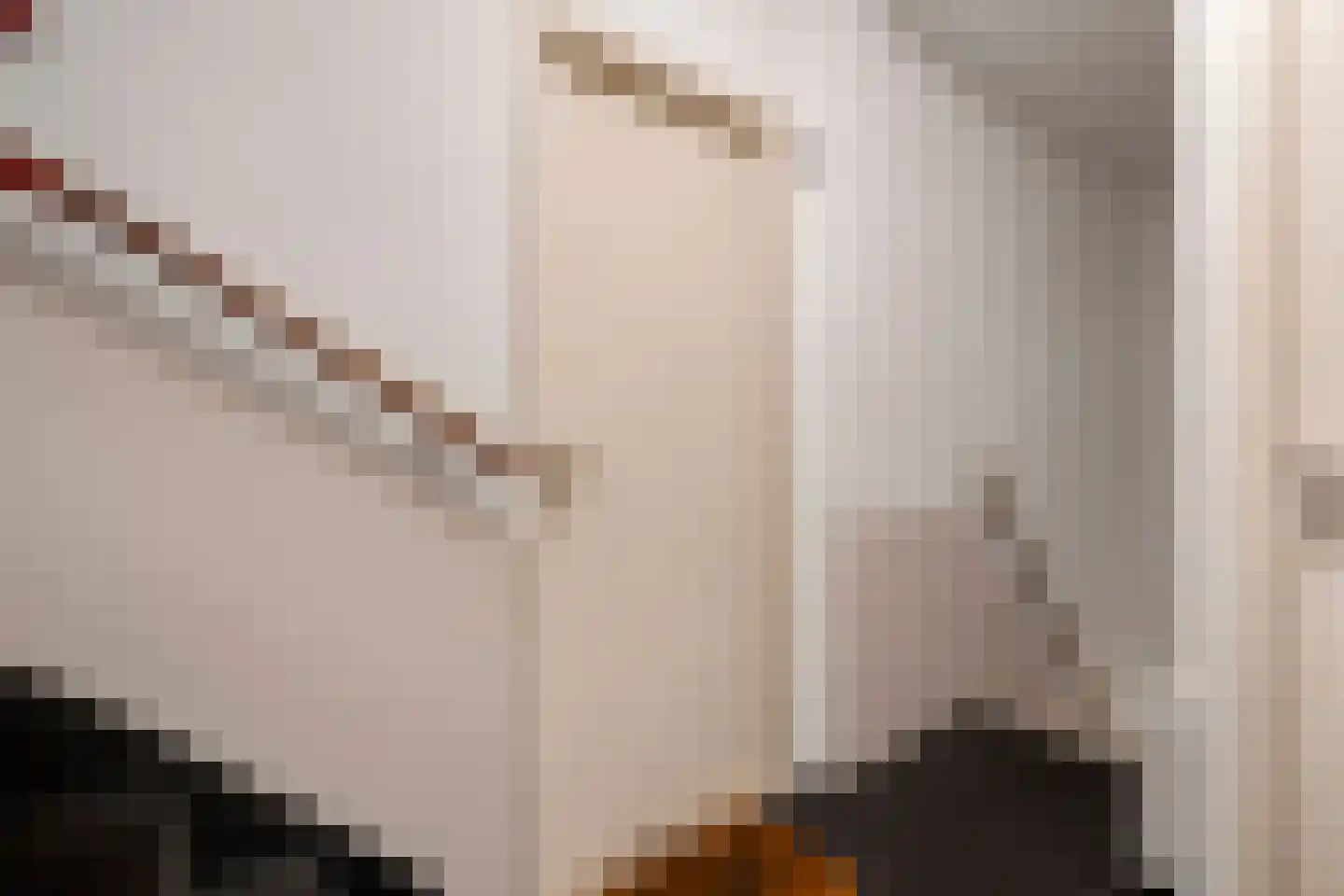 De Genestetlaan 206 Den Haag thumbnail 18