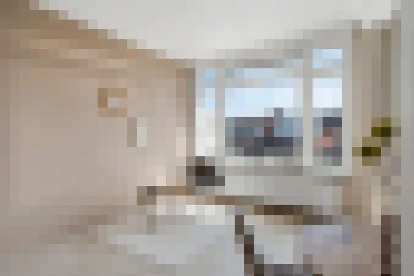 De Genestetlaan 206 Den Haag thumbnail 5
