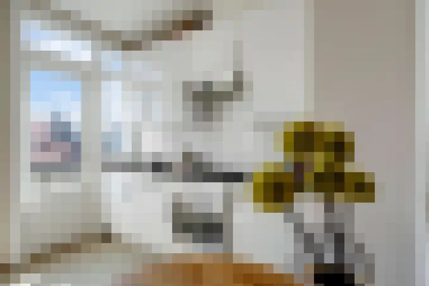 De Genestetlaan 206 Den Haag thumbnail 7