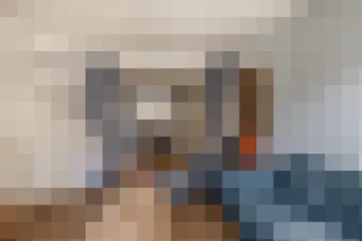 De Genestetlaan 209 Den Haag thumbnail 14