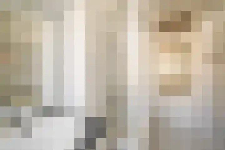 De Genestetlaan 209 Den Haag thumbnail 23
