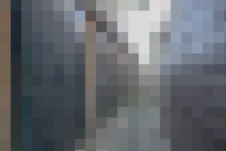 De Genestetlaan 209 Den Haag thumbnail 30