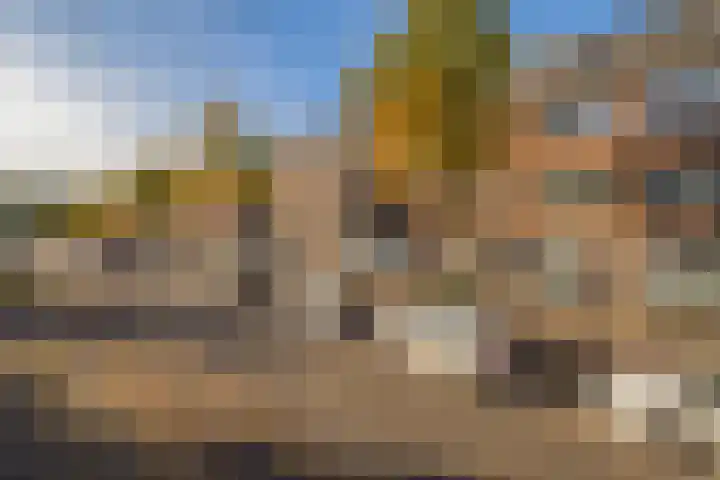 De Genestetlaan 209 Den Haag thumbnail 8