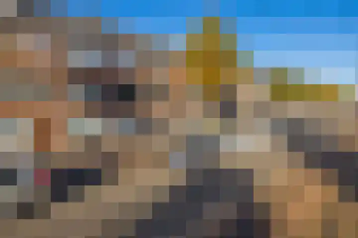 De Genestetlaan 209 Den Haag thumbnail 9