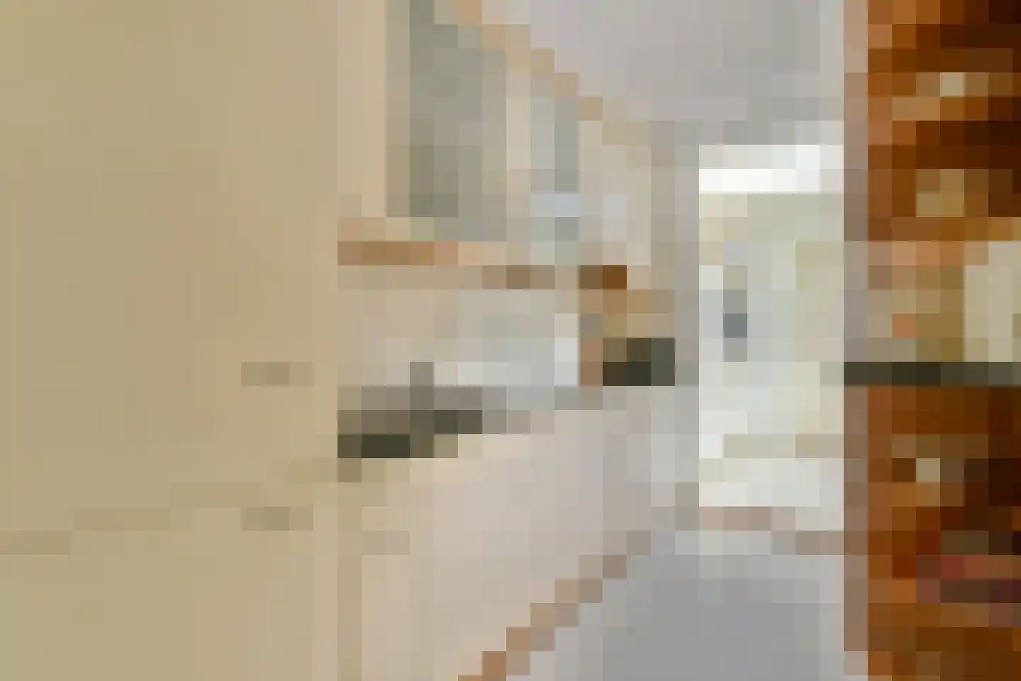 De Genestetlaan 22 Driehuis NH thumbnail 12