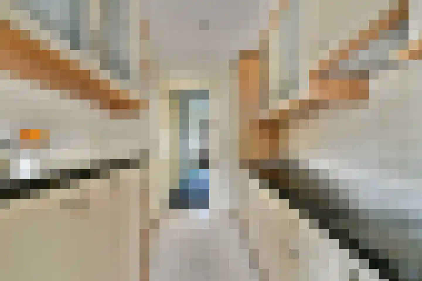 De Genestetlaan 22 Driehuis NH thumbnail 13