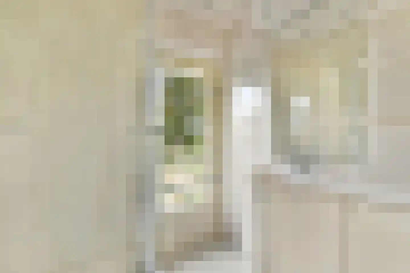 De Genestetlaan 22 Driehuis NH thumbnail 28