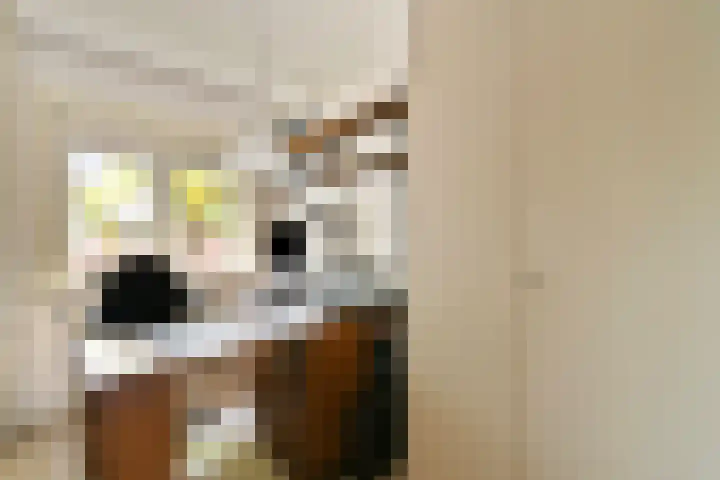De Genestetlaan 22 Driehuis NH thumbnail 30