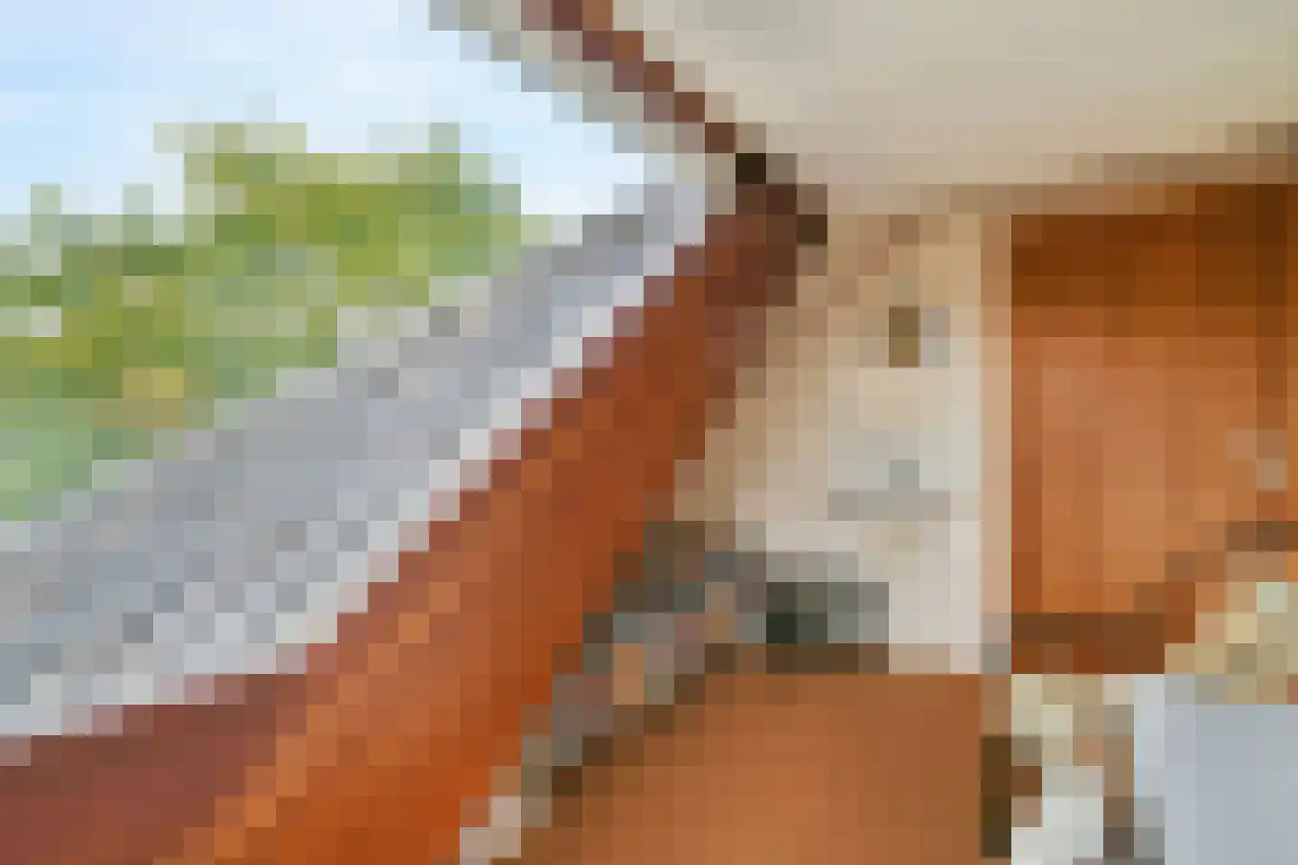 De Genestetlaan 22 Driehuis NH thumbnail 33