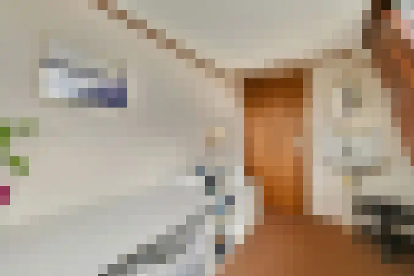 De Genestetlaan 22 Driehuis NH thumbnail 34