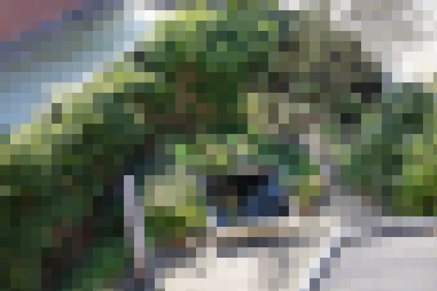 De Genestetlaan 22 Driehuis NH thumbnail 36