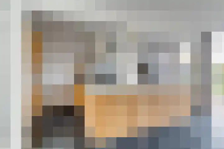 de Genestetlaan 22 Waddinxveen thumbnail 17