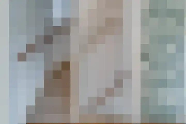 de Genestetlaan 22 Waddinxveen thumbnail 24