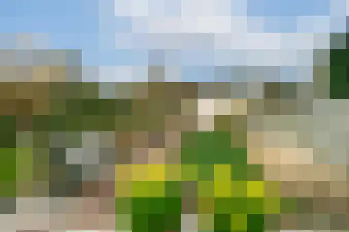 de Genestetlaan 22 Waddinxveen thumbnail 45