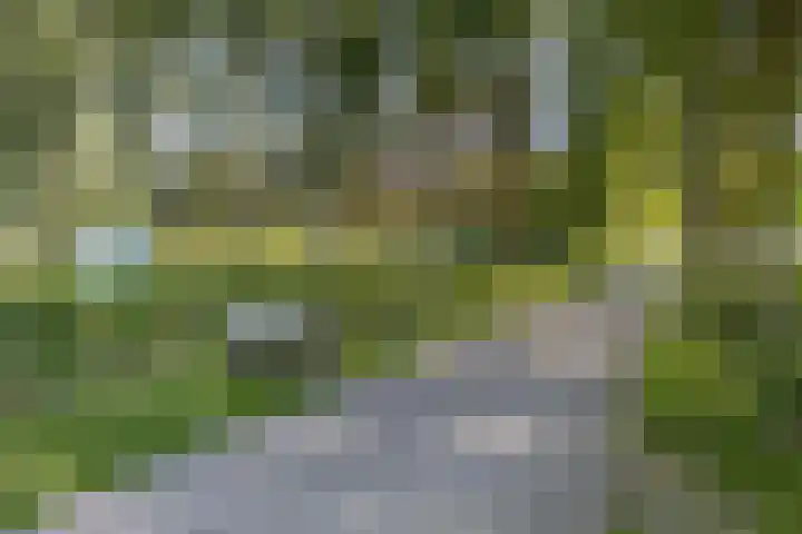 de Genestetlaan 22 Waddinxveen thumbnail 58