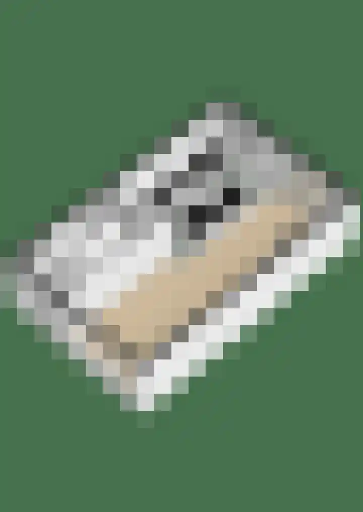 de Genestetlaan 22 Waddinxveen thumbnail 61