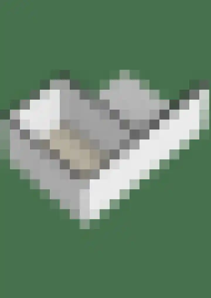 de Genestetlaan 22 Waddinxveen thumbnail 67