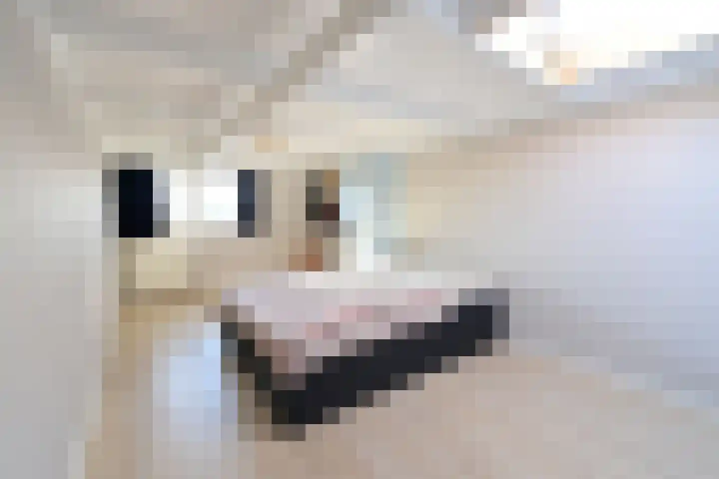 De Genestetlaan 23 Bussum thumbnail 15