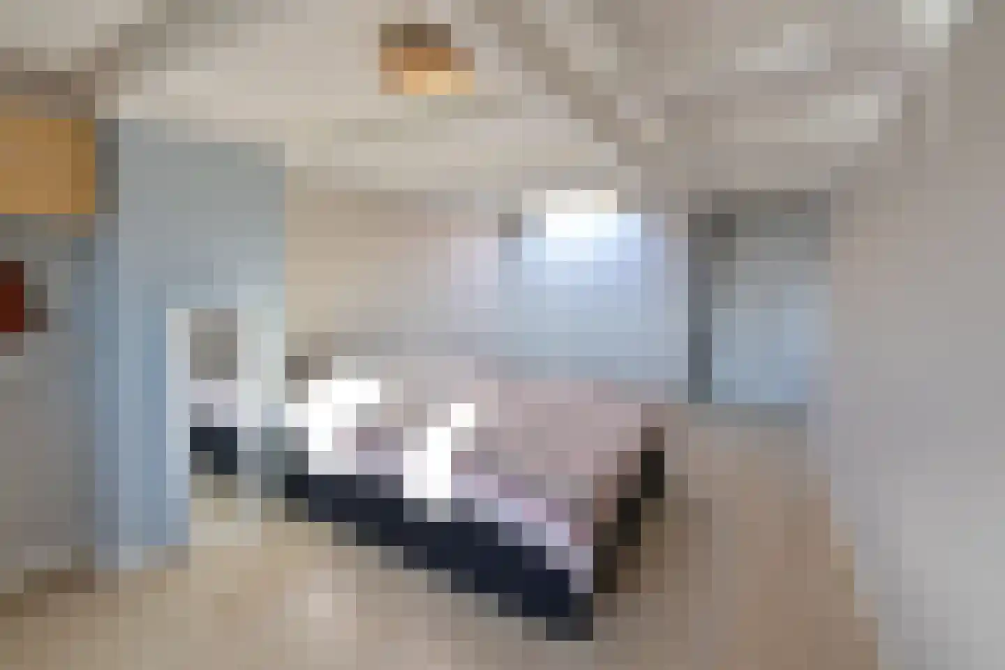 De Genestetlaan 23 Bussum thumbnail 16