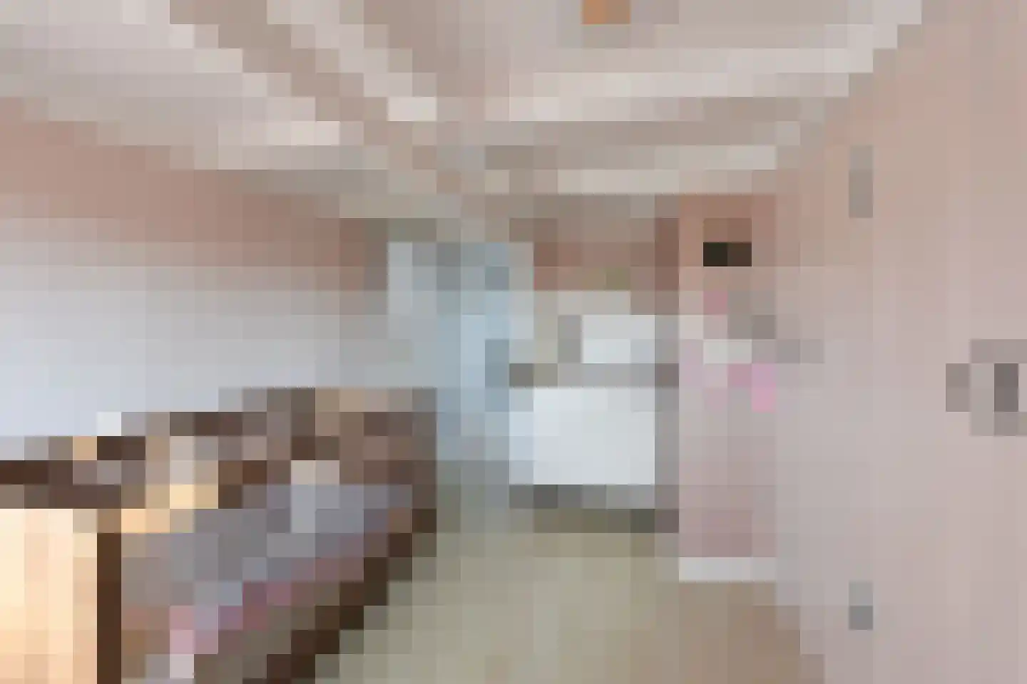 De Genestetlaan 23 Bussum thumbnail 18
