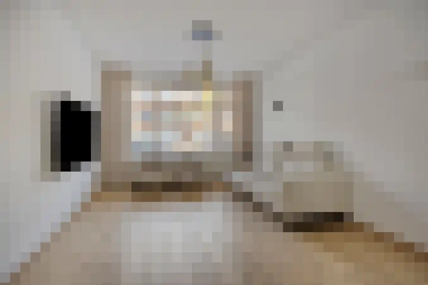 De Genestetlaan 238 Den Haag thumbnail 13