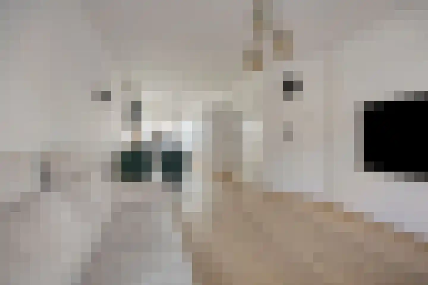 De Genestetlaan 238 Den Haag thumbnail 15