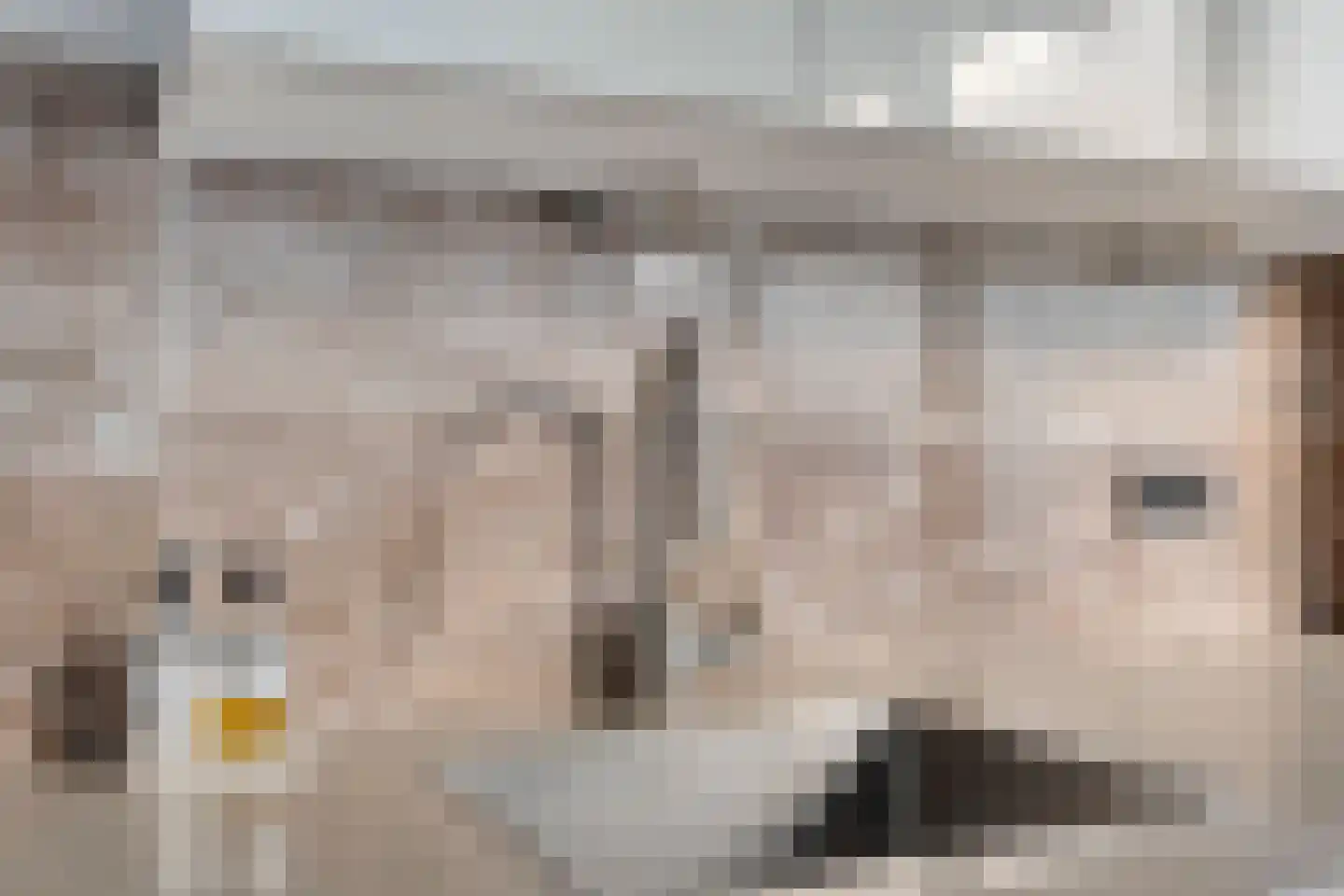 De Genestetlaan 238 Den Haag thumbnail 23