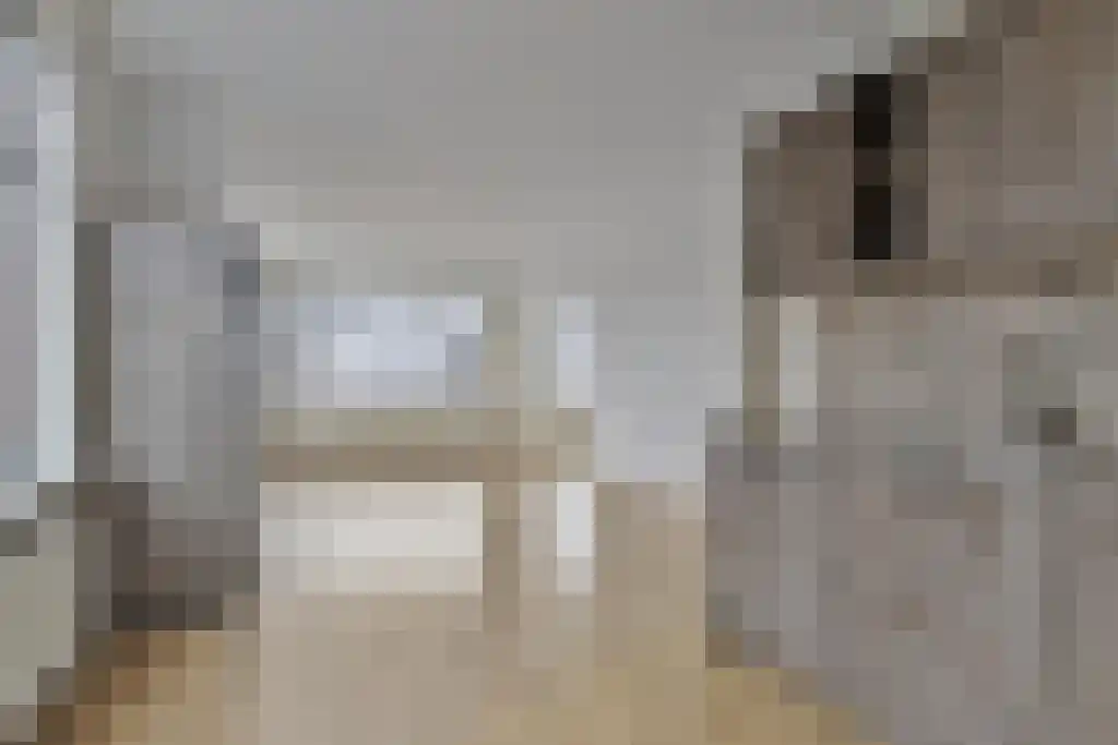 De Genestetlaan 256 Den Haag thumbnail 18