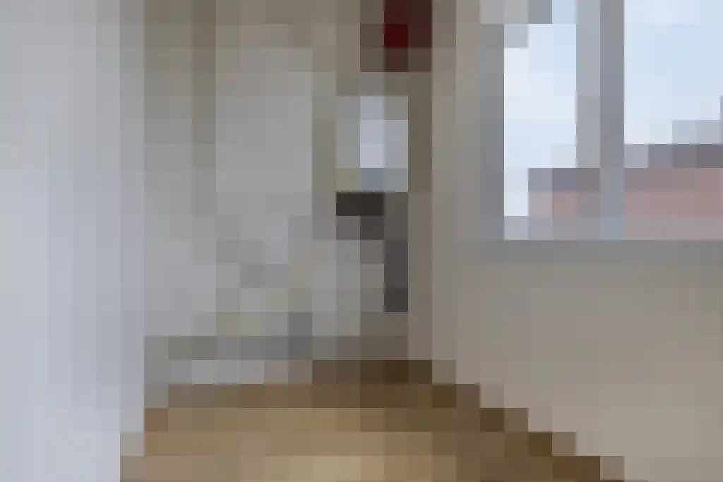 De Genestetlaan 256 Den Haag thumbnail 25
