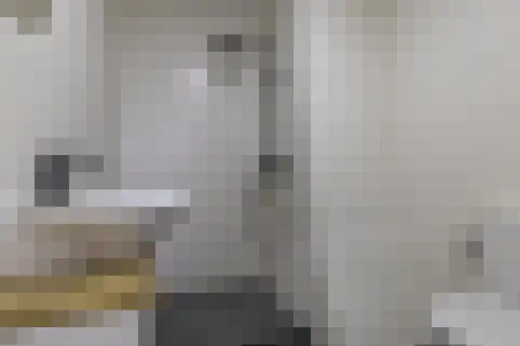 De Genestetlaan 256 Den Haag thumbnail 29