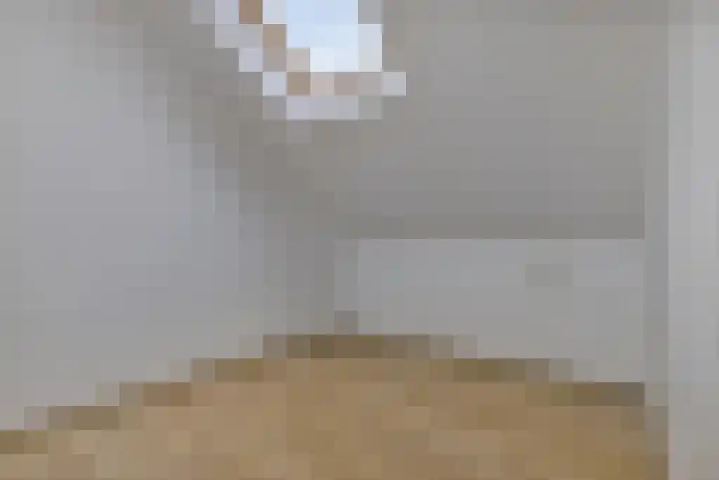 De Genestetlaan 256 Den Haag thumbnail 32