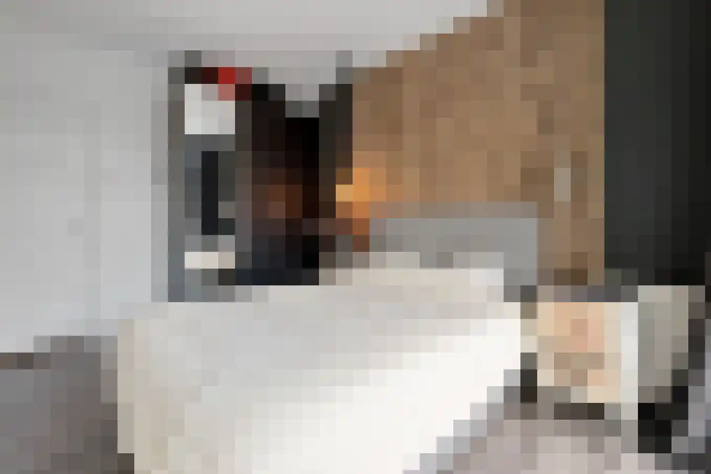 De Genestetlaan 263 Den Haag thumbnail 16