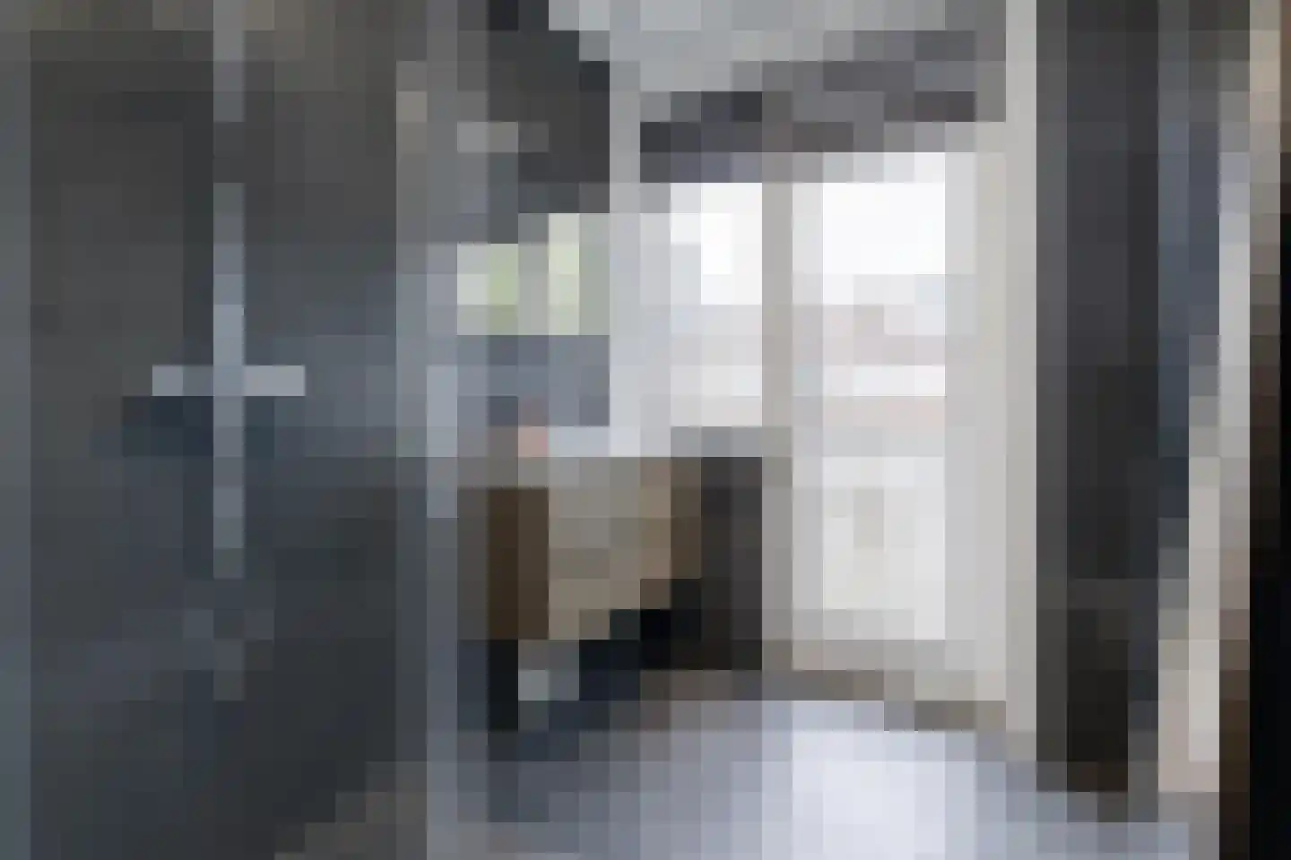 De Genestetlaan 263 Den Haag thumbnail 19