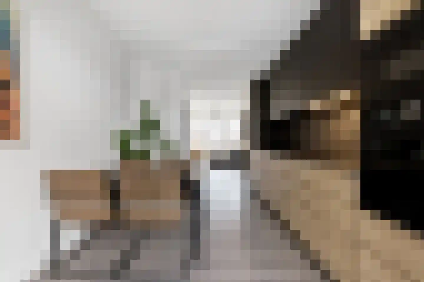 De Genestetlaan 263 Den Haag thumbnail 7