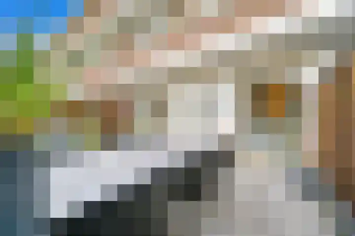 De Genestetlaan 297 Den Haag thumbnail 10