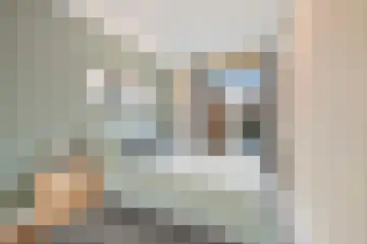 De Genestetlaan 297 Den Haag thumbnail 17