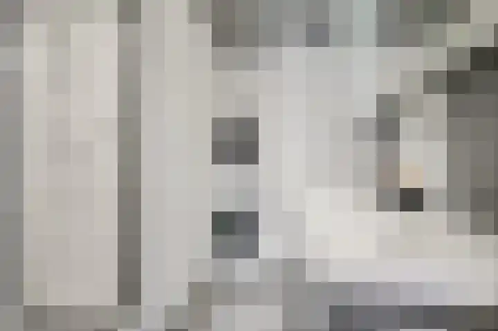 De Genestetlaan 297 Den Haag thumbnail 19