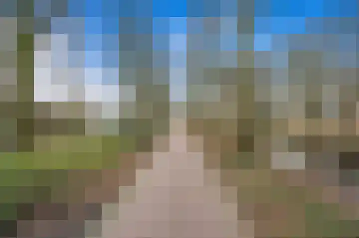 De Genestetlaan 297 Den Haag thumbnail 35