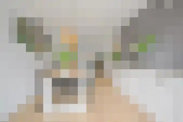 De Genestetlaan 297 Den Haag thumbnail 6