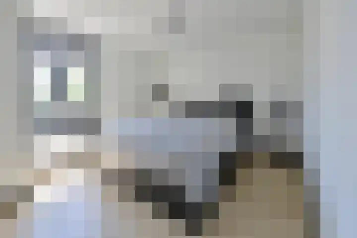 De Genestetlaan 3 Bussum thumbnail 10