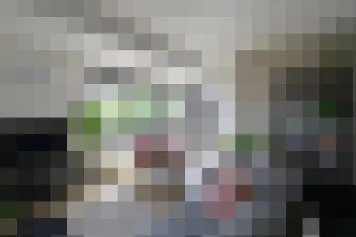 De Genestetlaan 3 Bussum thumbnail 5