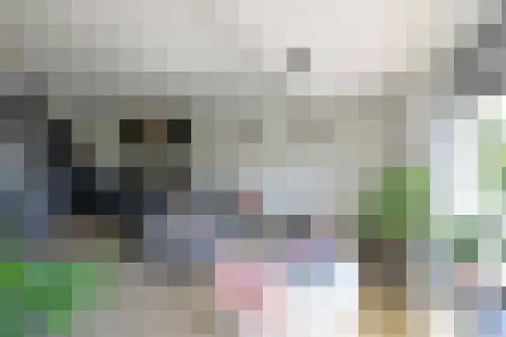 De Genestetlaan 3 Bussum thumbnail 6