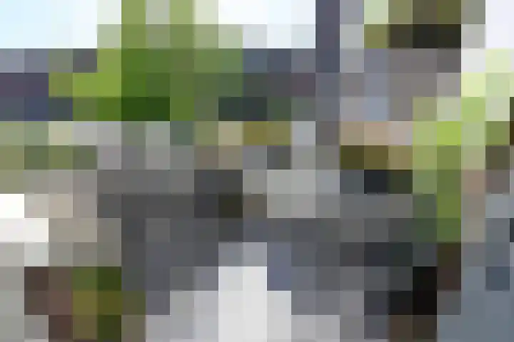 De Genestetlaan 3 Bussum thumbnail 9