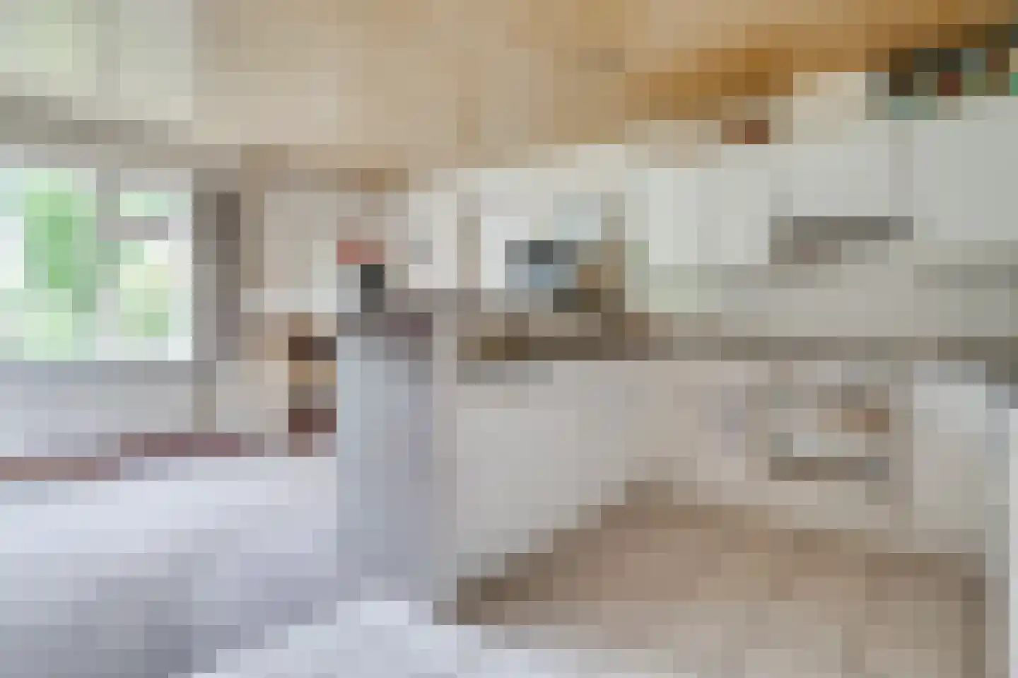 de Genestetlaan 3 Soest thumbnail 16