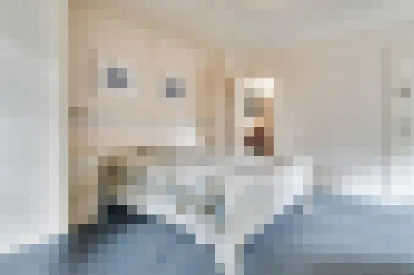 de Genestetlaan 3 Soest thumbnail 27