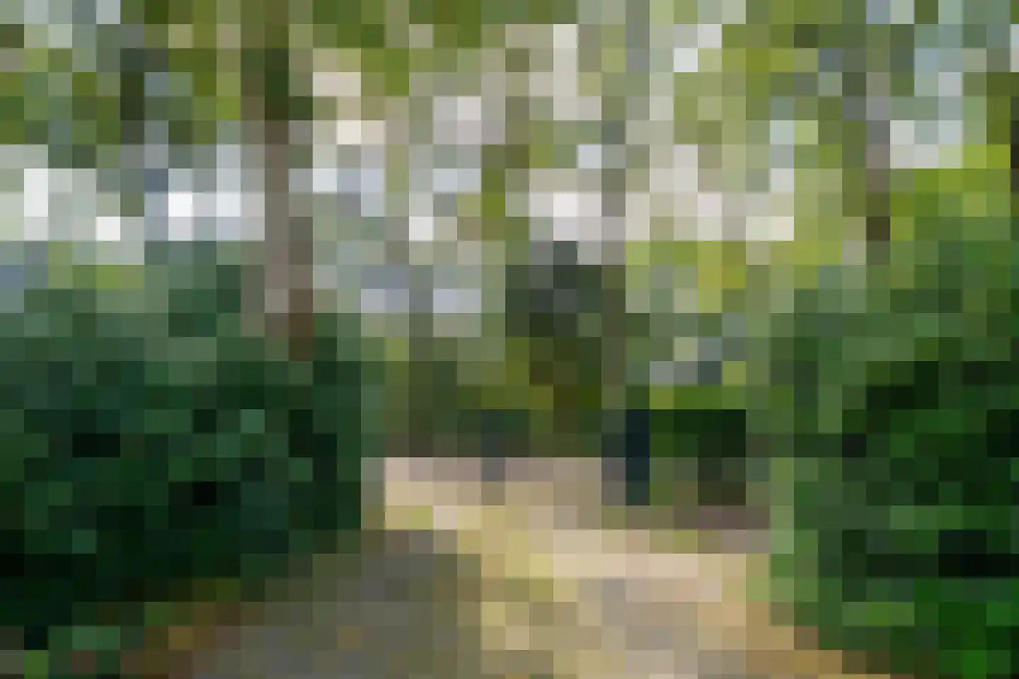 de Genestetlaan 3 Soest thumbnail 4