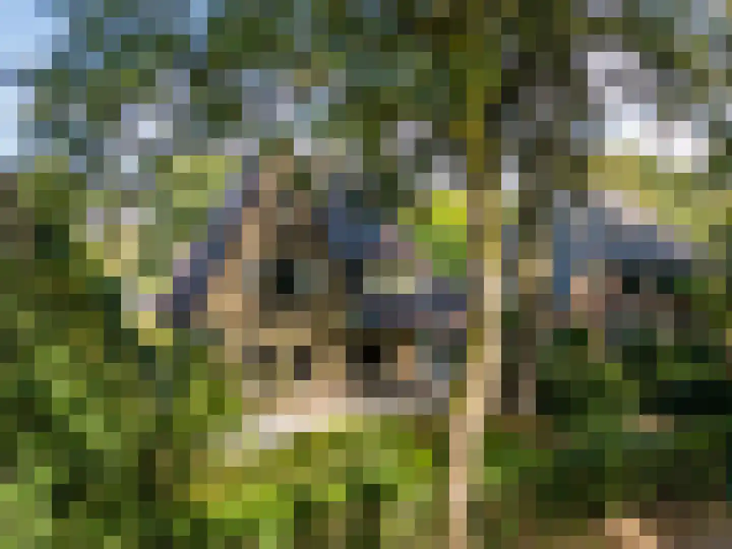 de Genestetlaan 3 Soest thumbnail 51