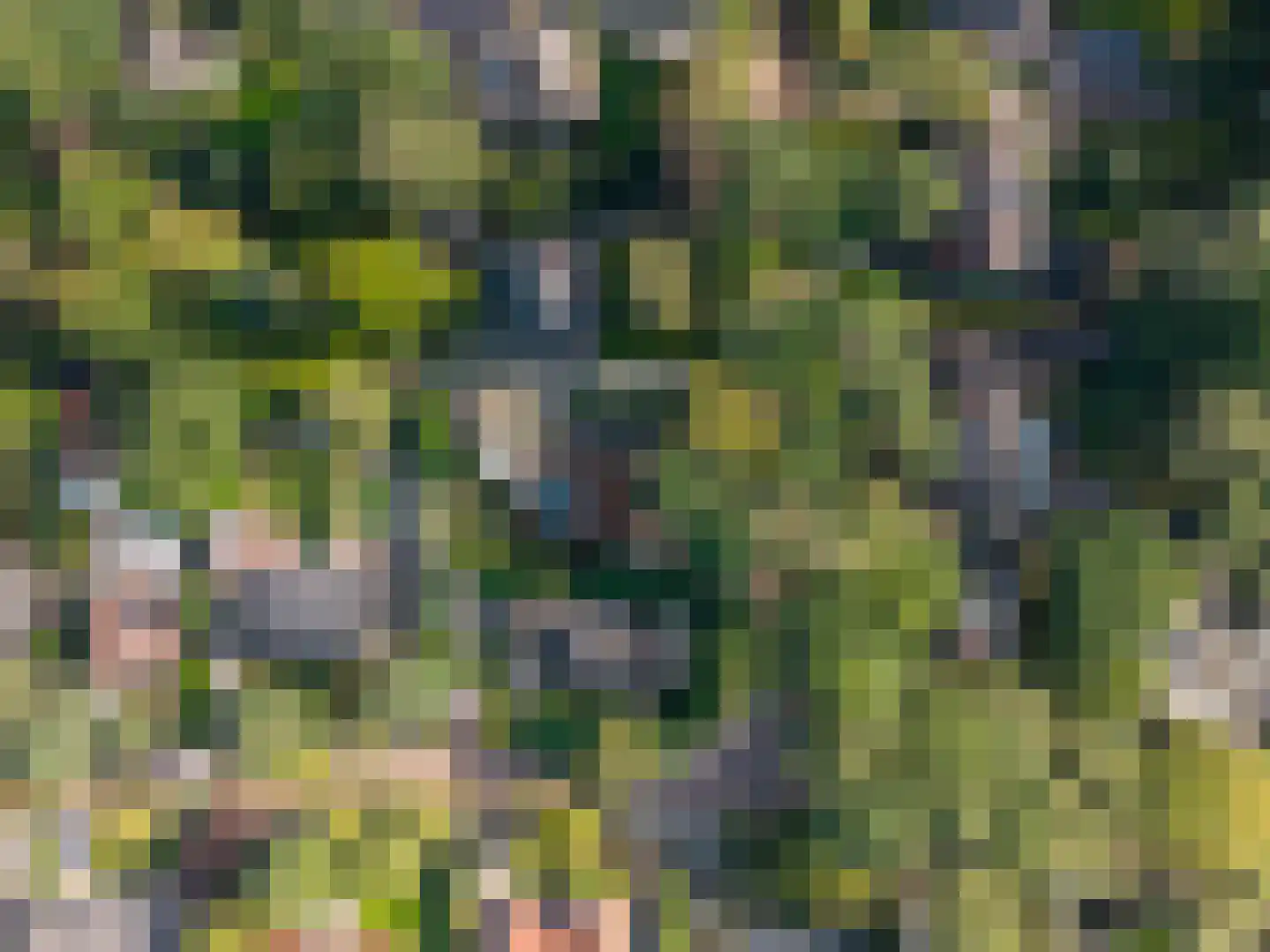de Genestetlaan 3 Soest thumbnail 56
