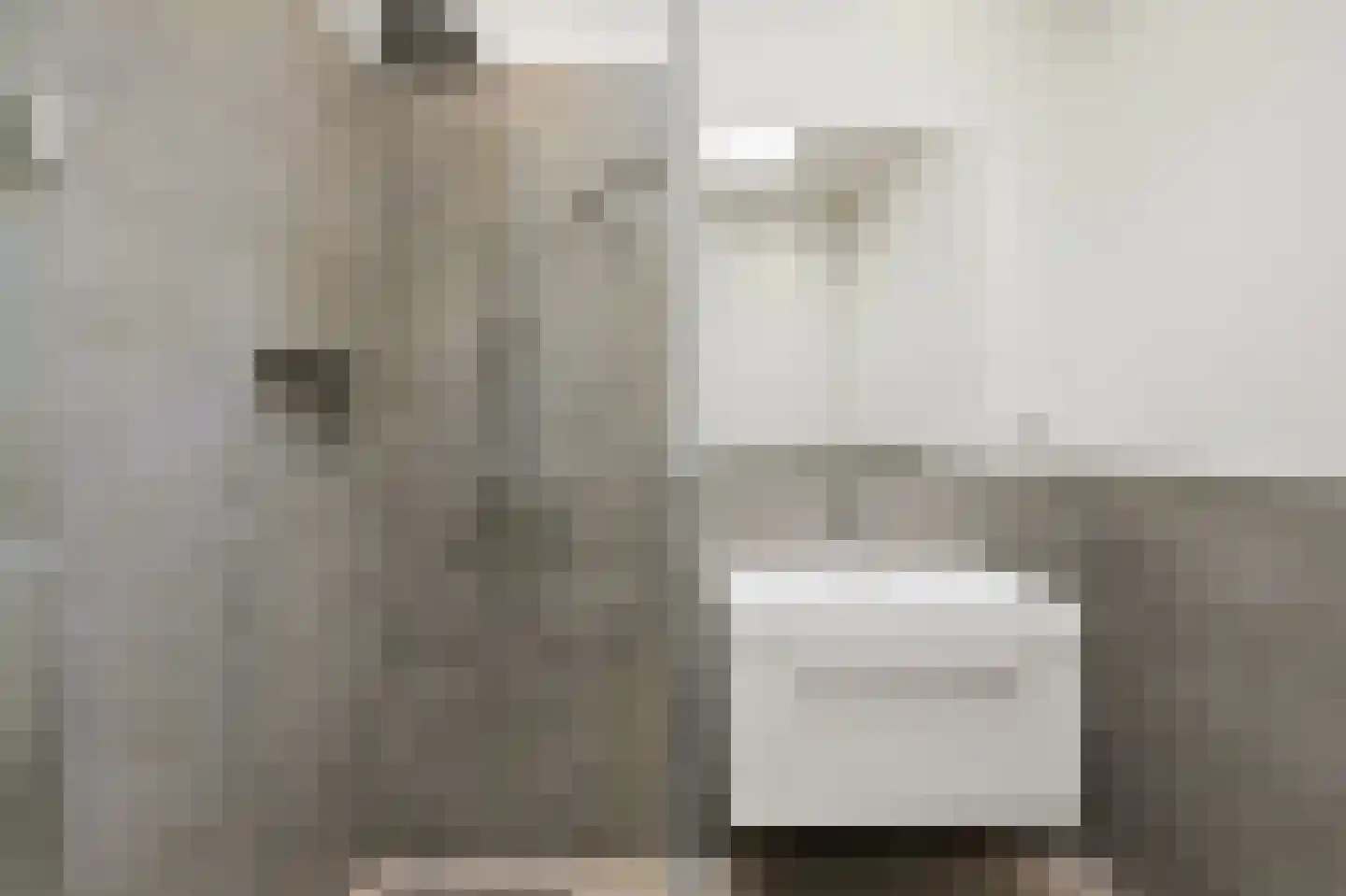 De Genestetlaan 32 Den Haag thumbnail 10