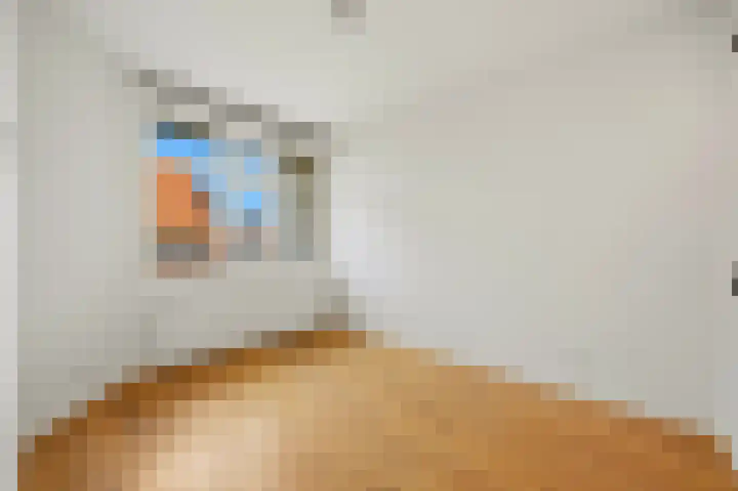 De Genestetlaan 32 Den Haag thumbnail 12